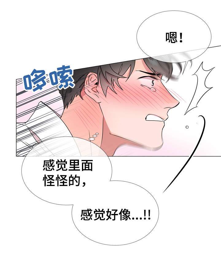 第36章：为什么要对我说谎14