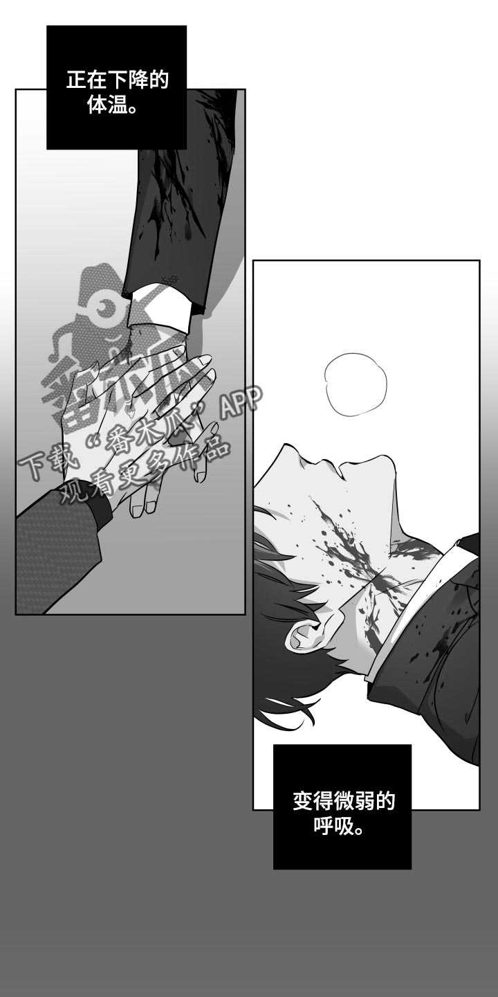 第172章：都是我的错0