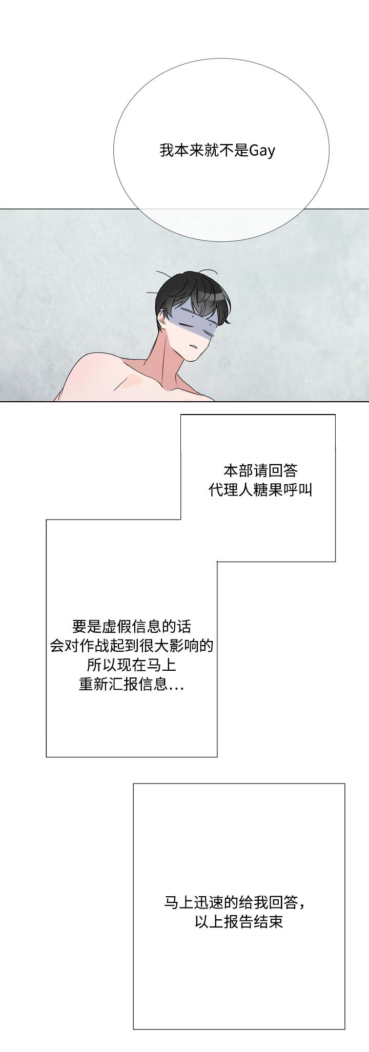 第5章：虚假信息19