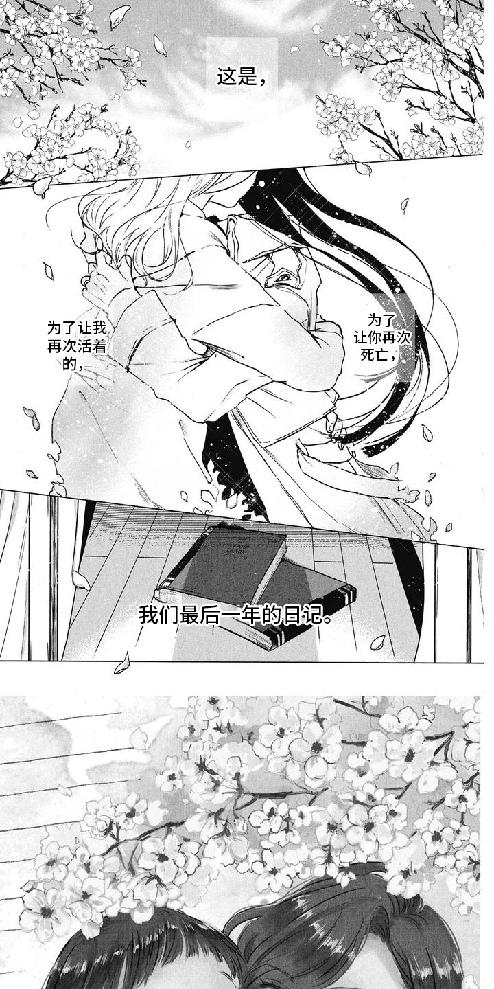 第1章：悲情电影0