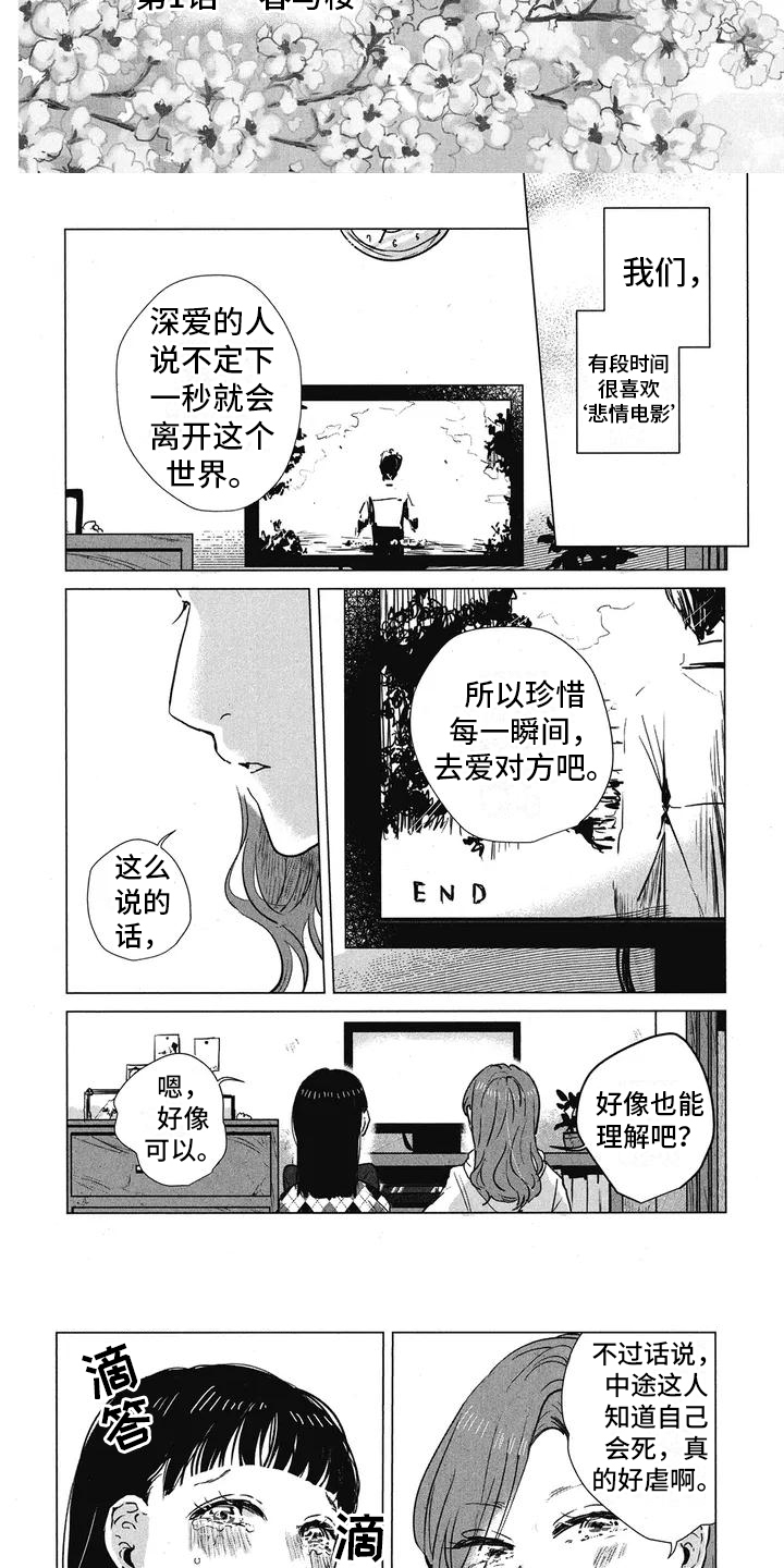 第1章：悲情电影2
