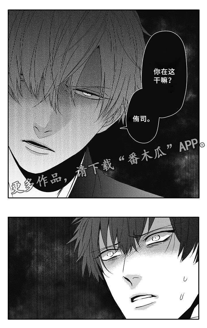 第33章：你在干嘛13