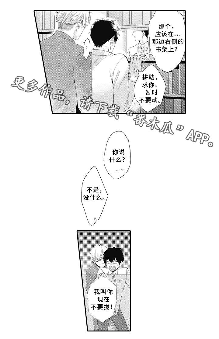 第15章：抓到了11