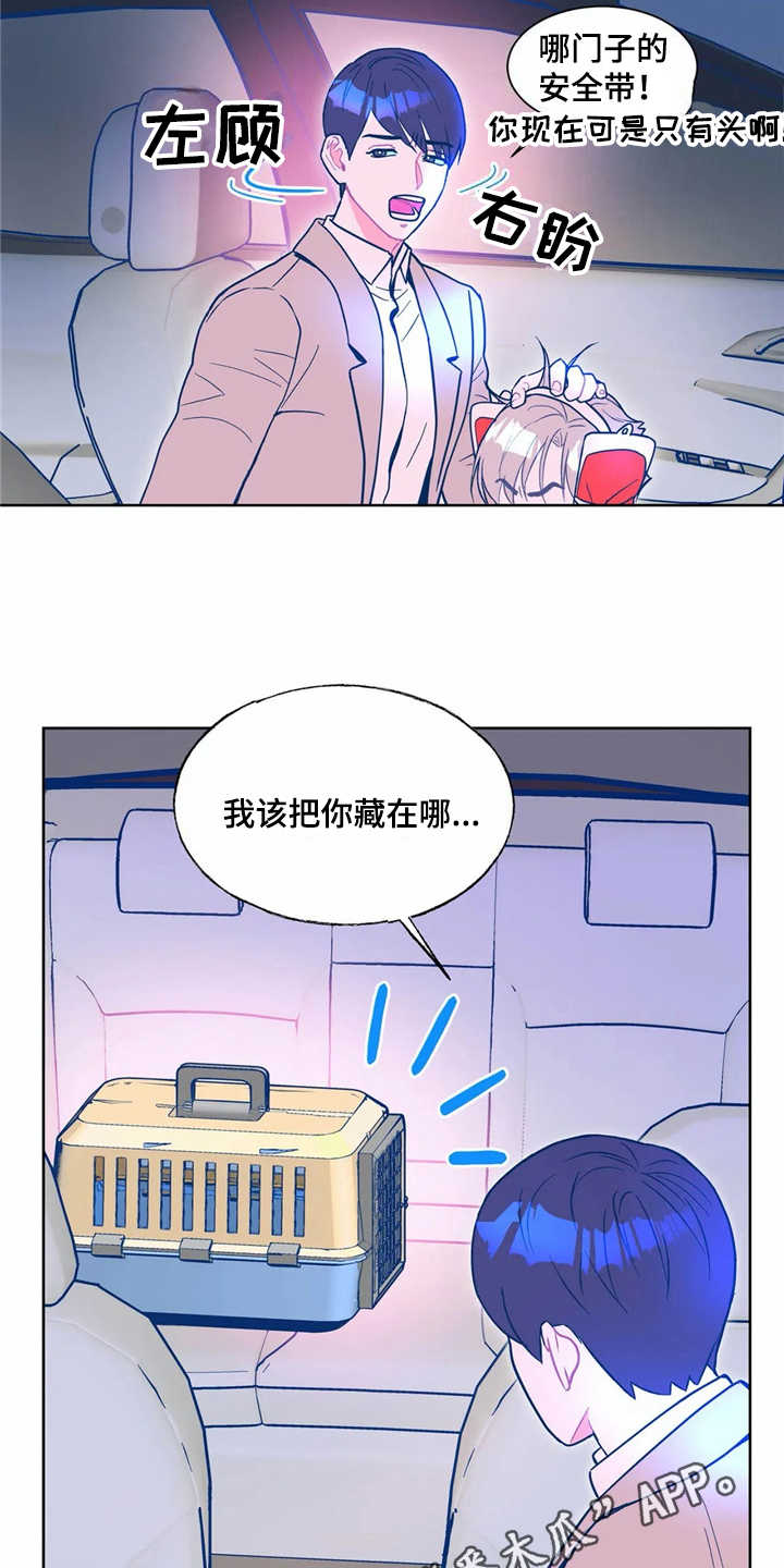第8章：潜入7