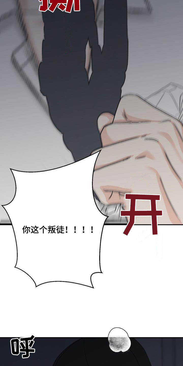 第37章：叛徒13
