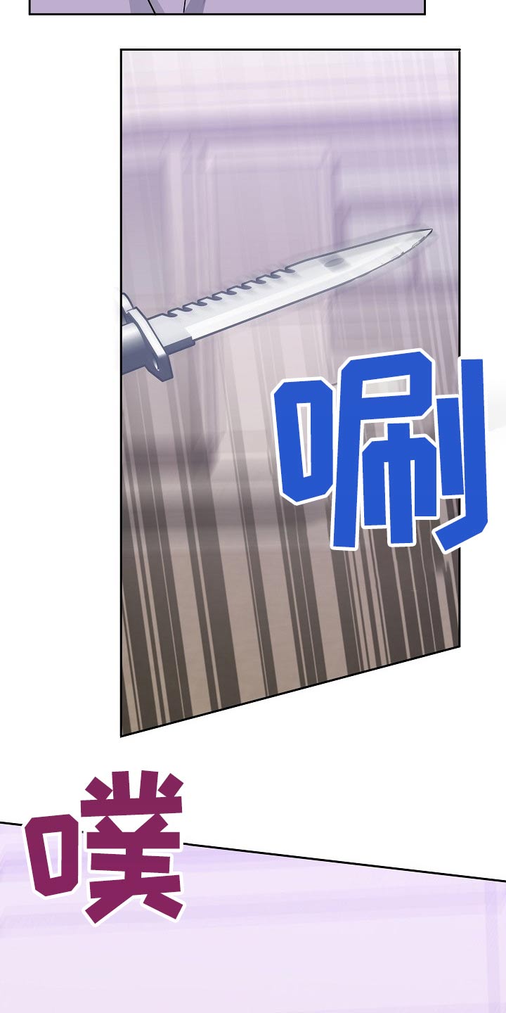 第42章：偷袭24