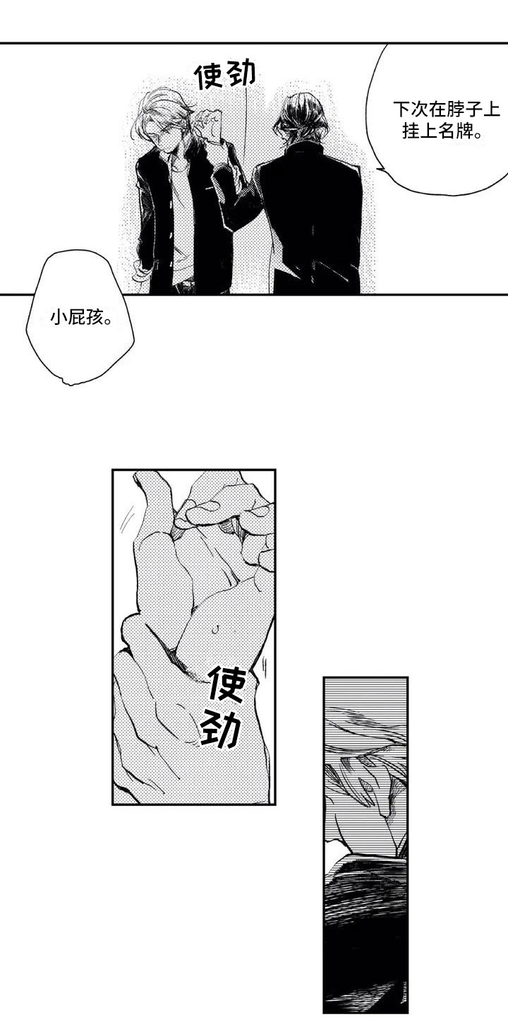 第1章：挑衅他5