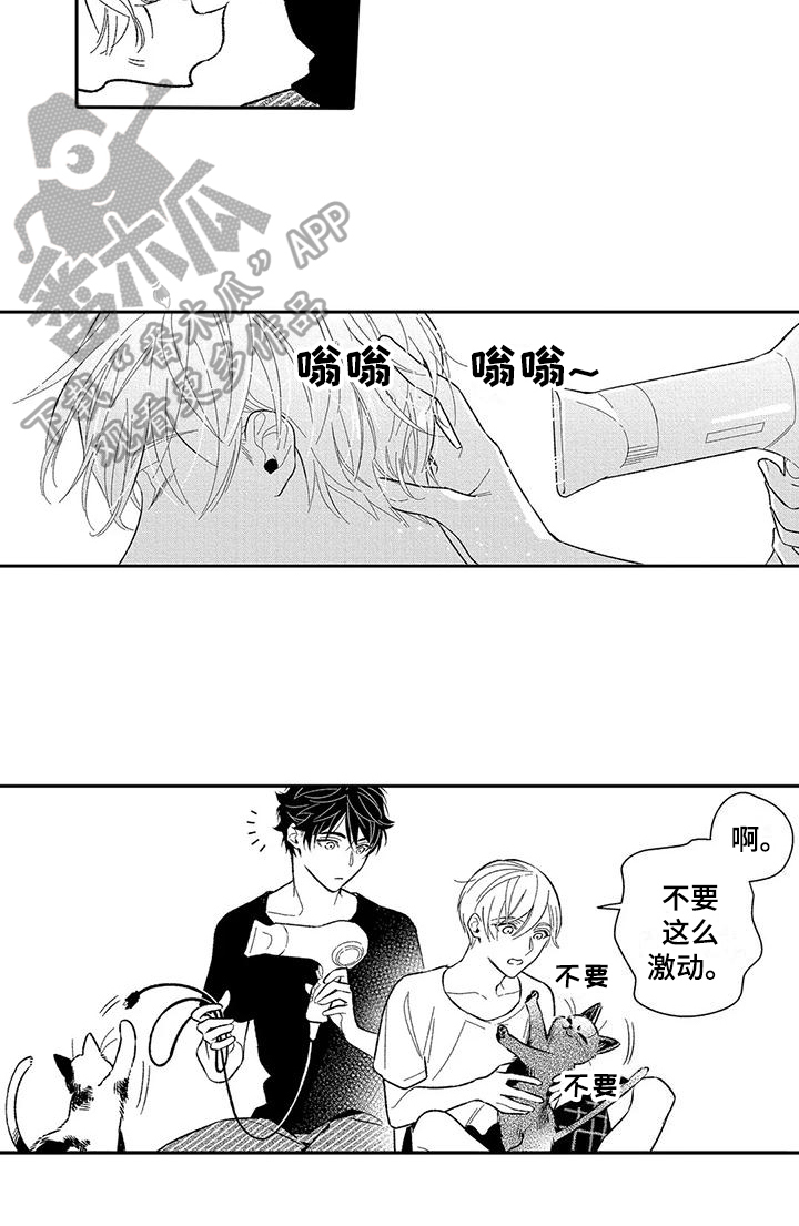 第10章：贪心15
