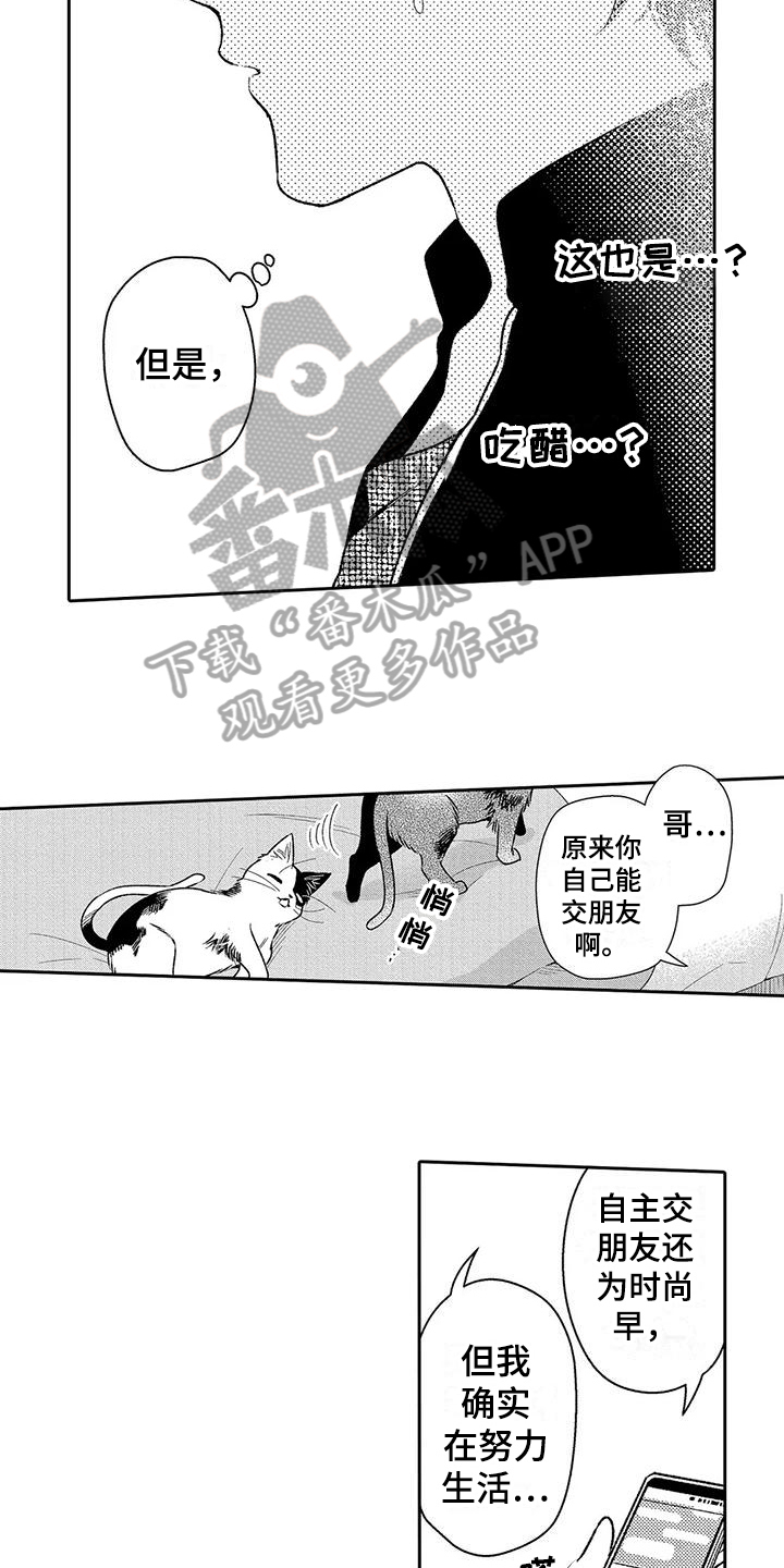 第17章：电话12