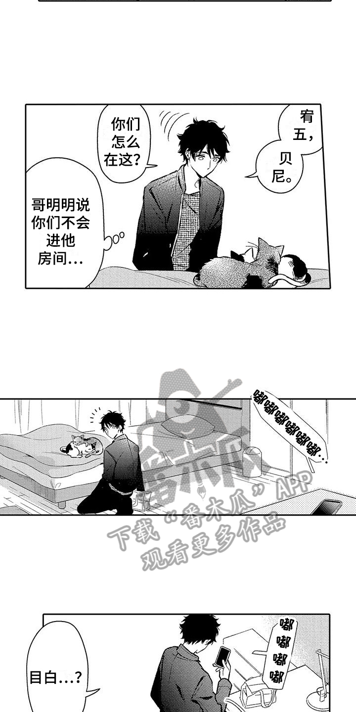 第17章：电话2