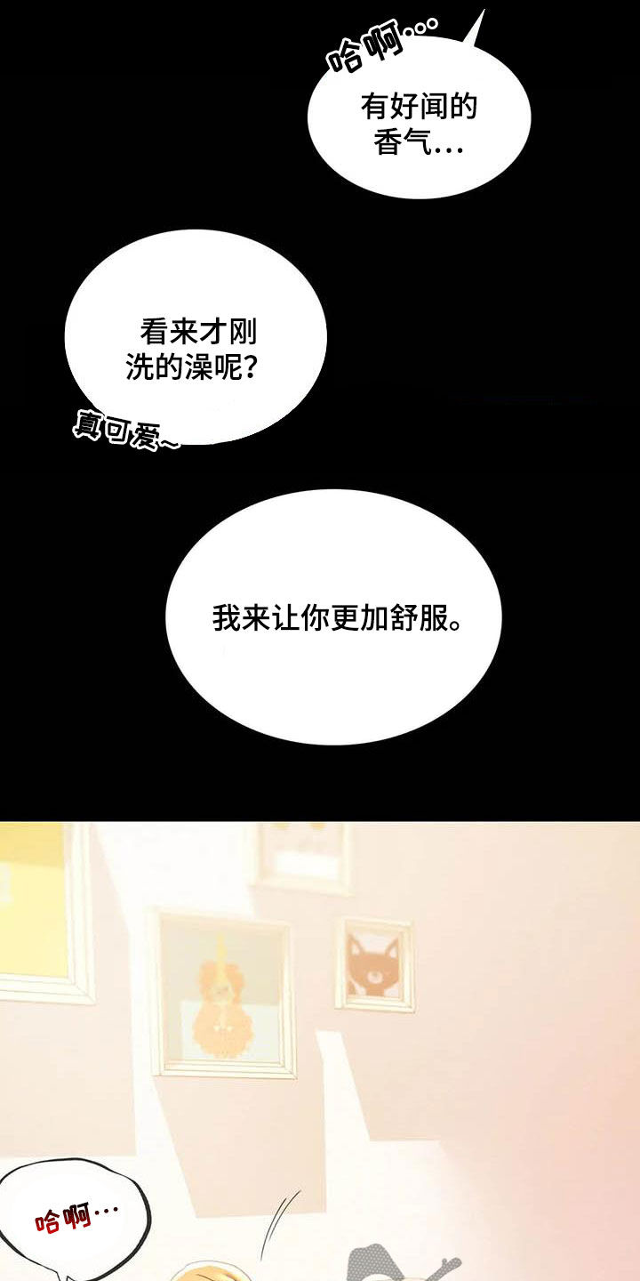 第32章：不常见11