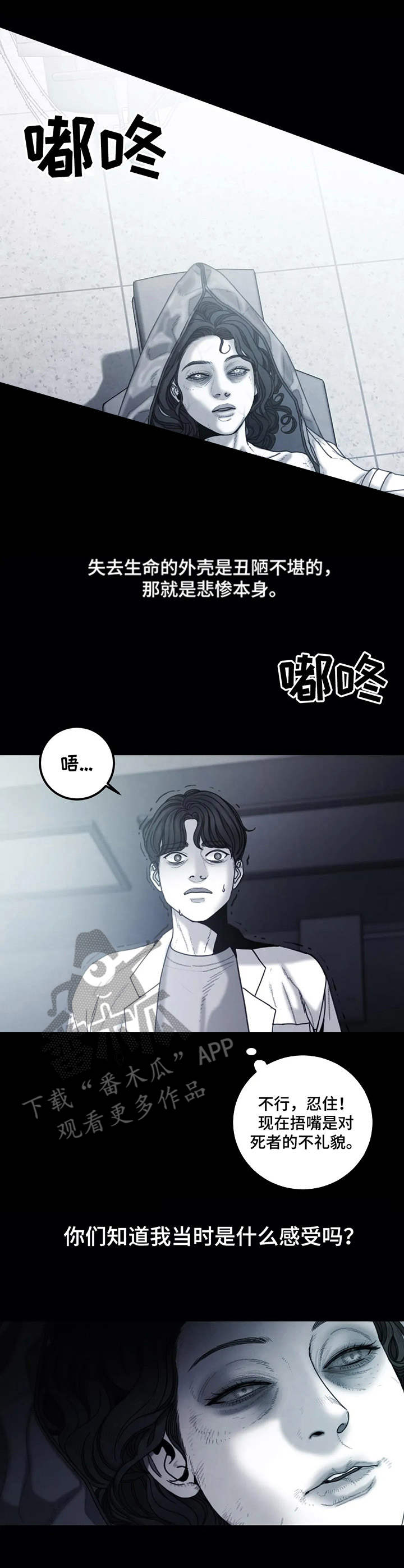 第19章：诅咒0