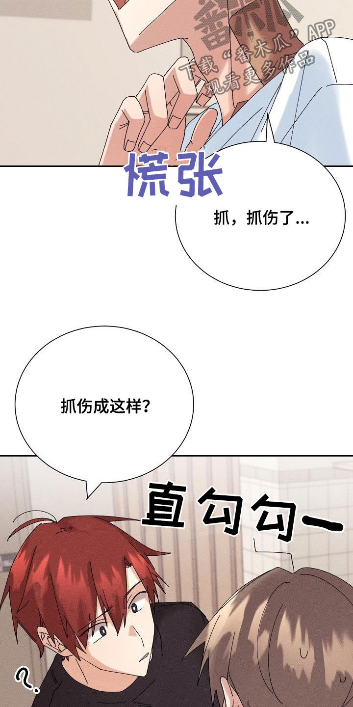 第21章：少管闲事17