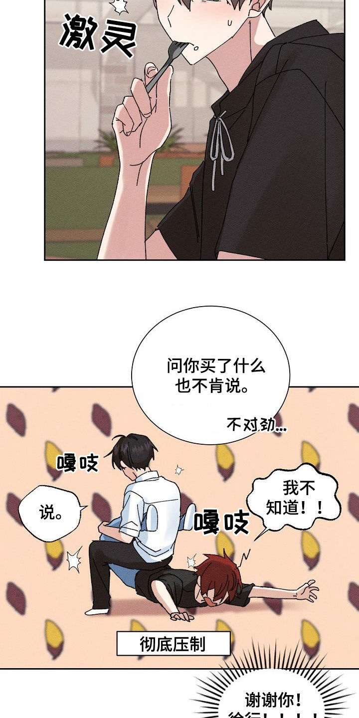 第43章：【番外】准备惊喜7