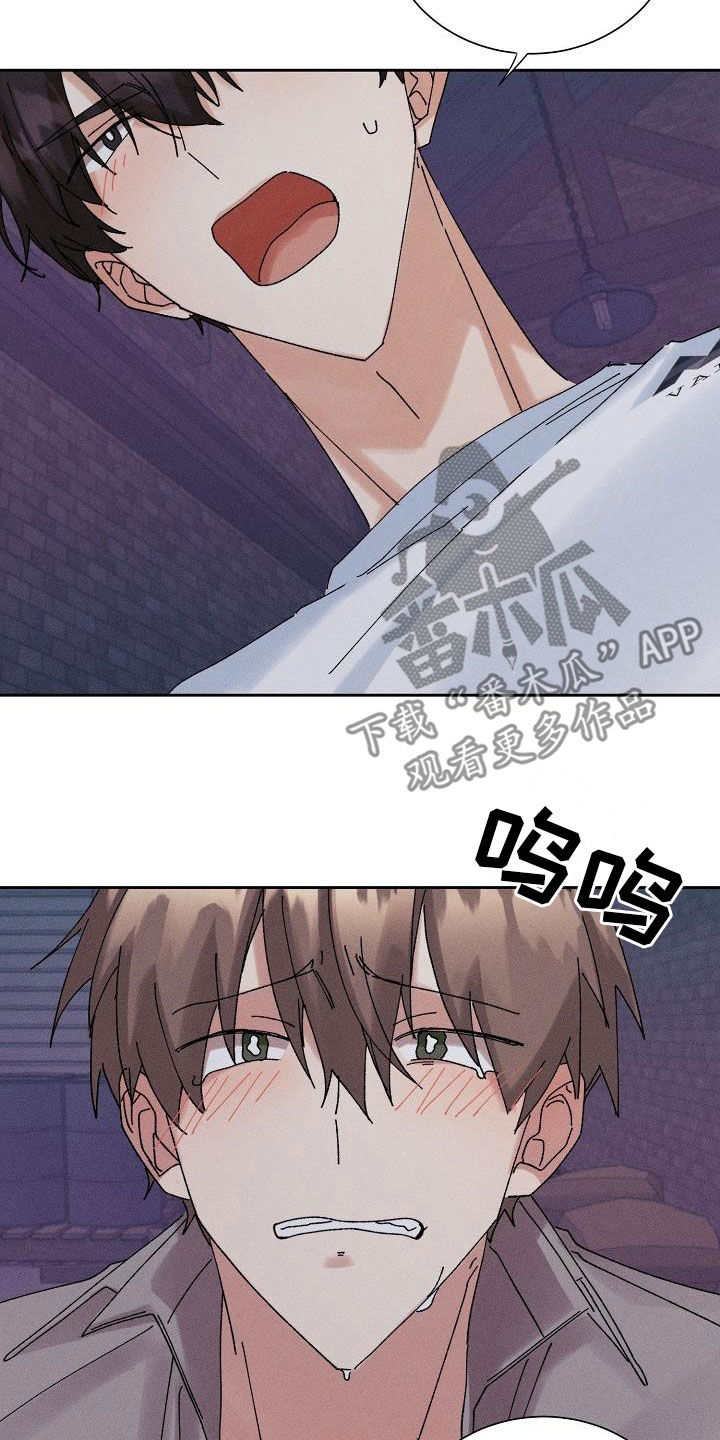 第39章：心意10