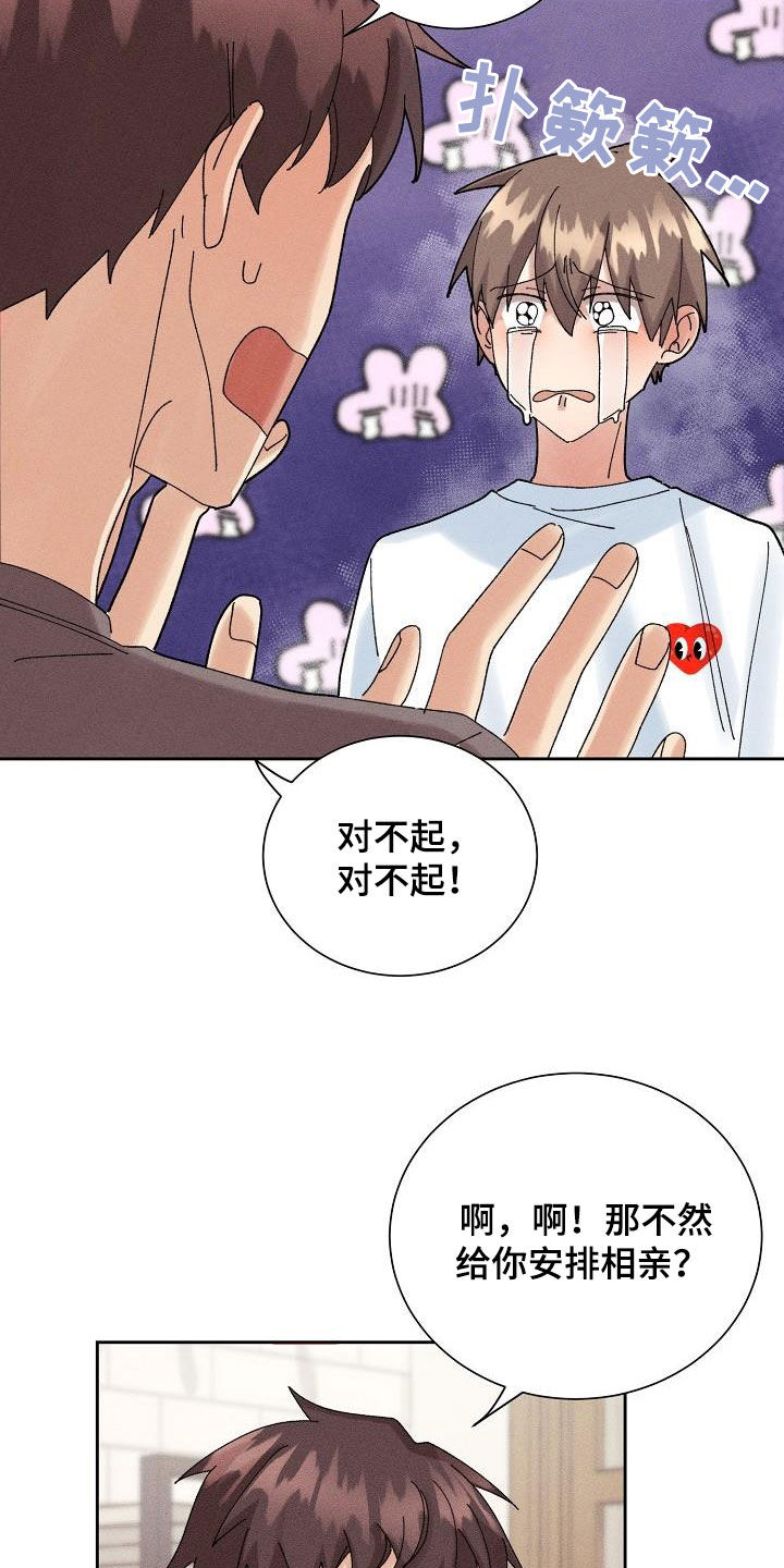 第30章：不想再爱14