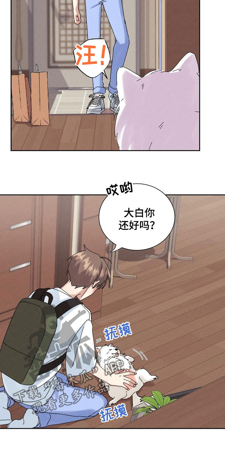 第31章：有喜欢的人5