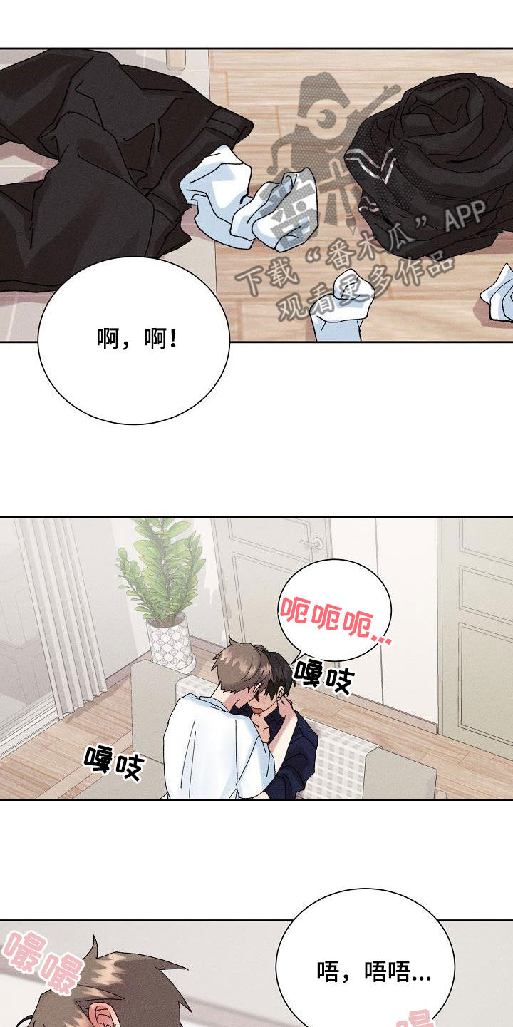 第52章：【番外】幸福4