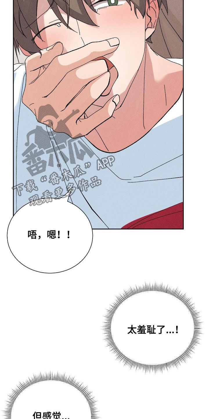 第54章：【番外完结】没有下次！13