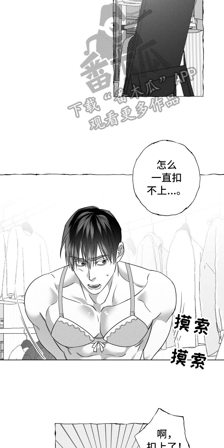 第27章：决心2