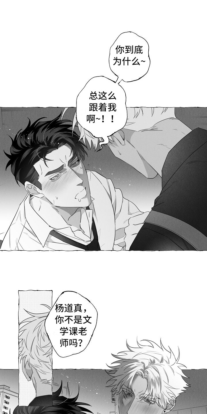 第4章：醉意5