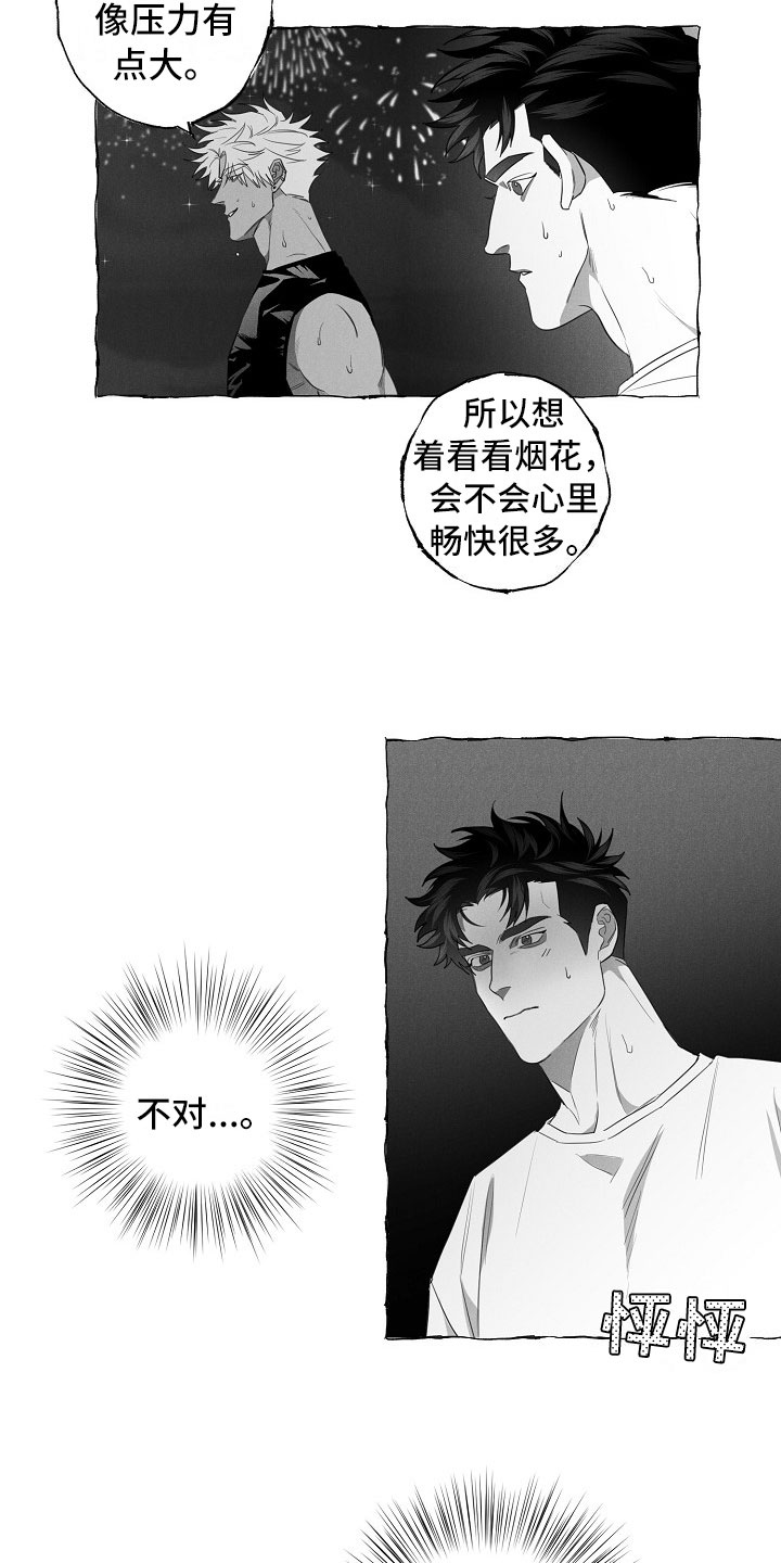 第13章：看烟花12