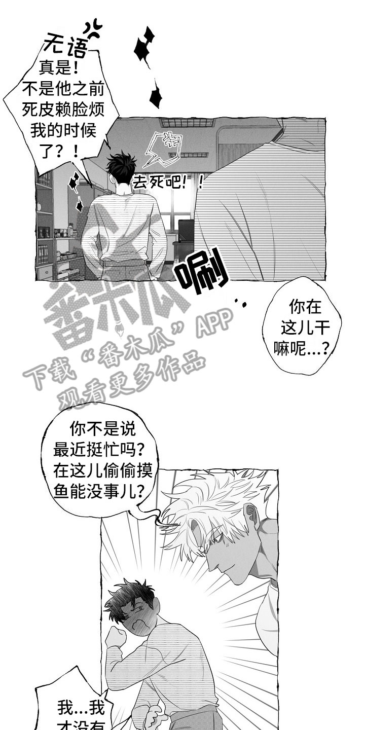 第13章：看烟花0