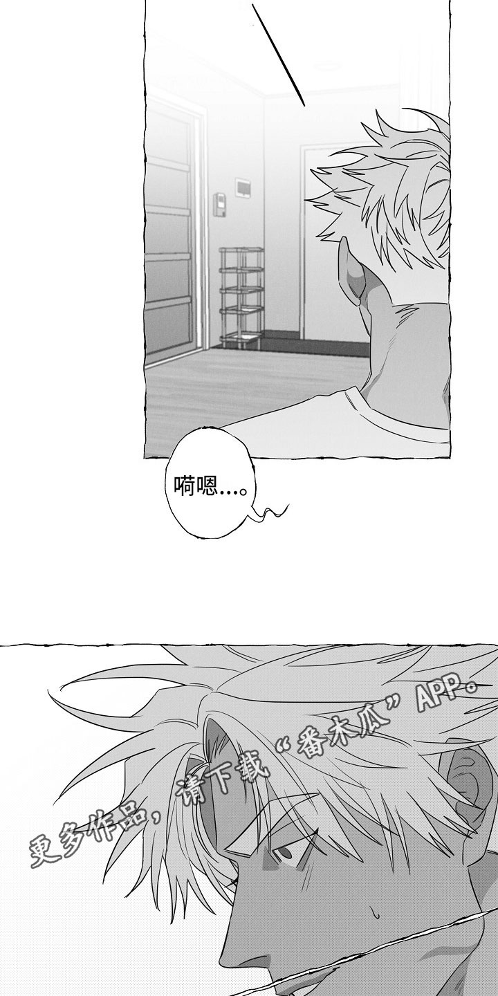 第21章：软肋17