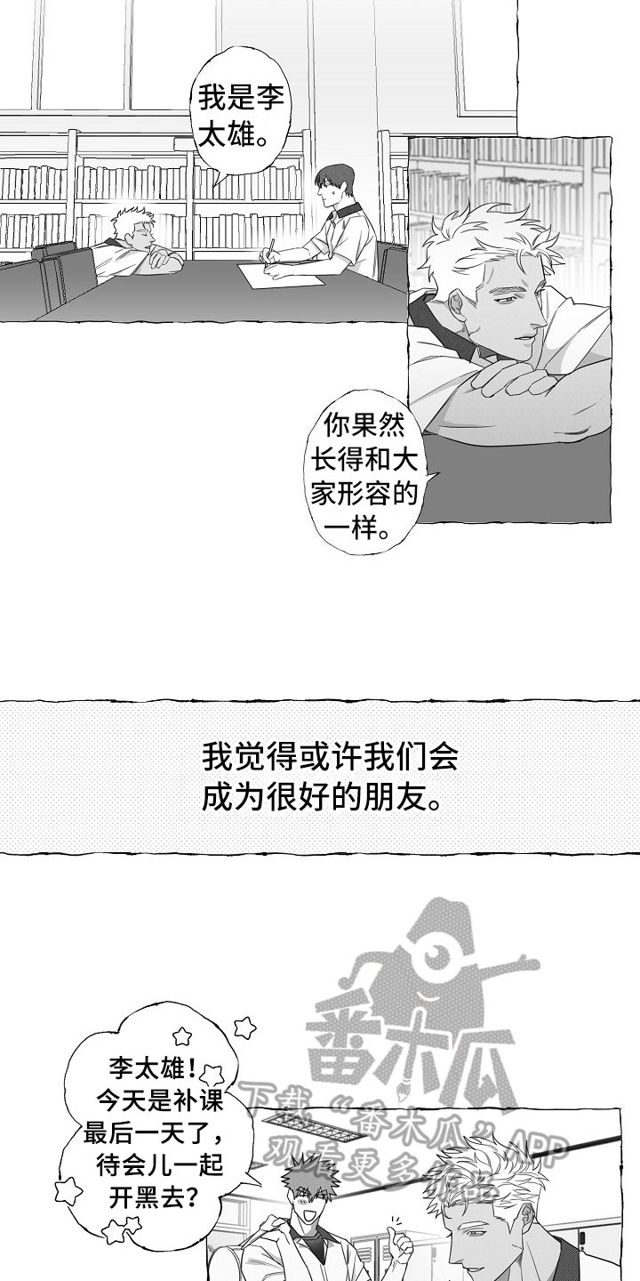 第9章：共同点13