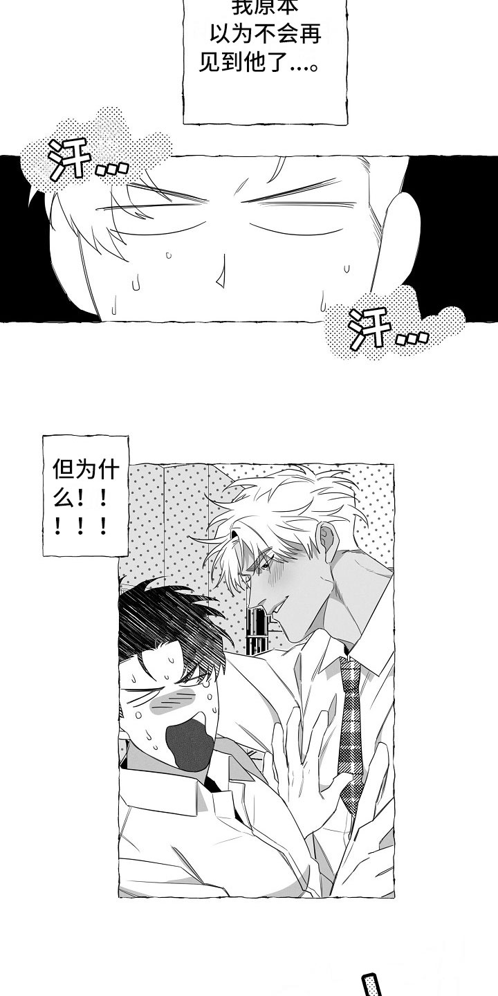 第2章：再次出现12