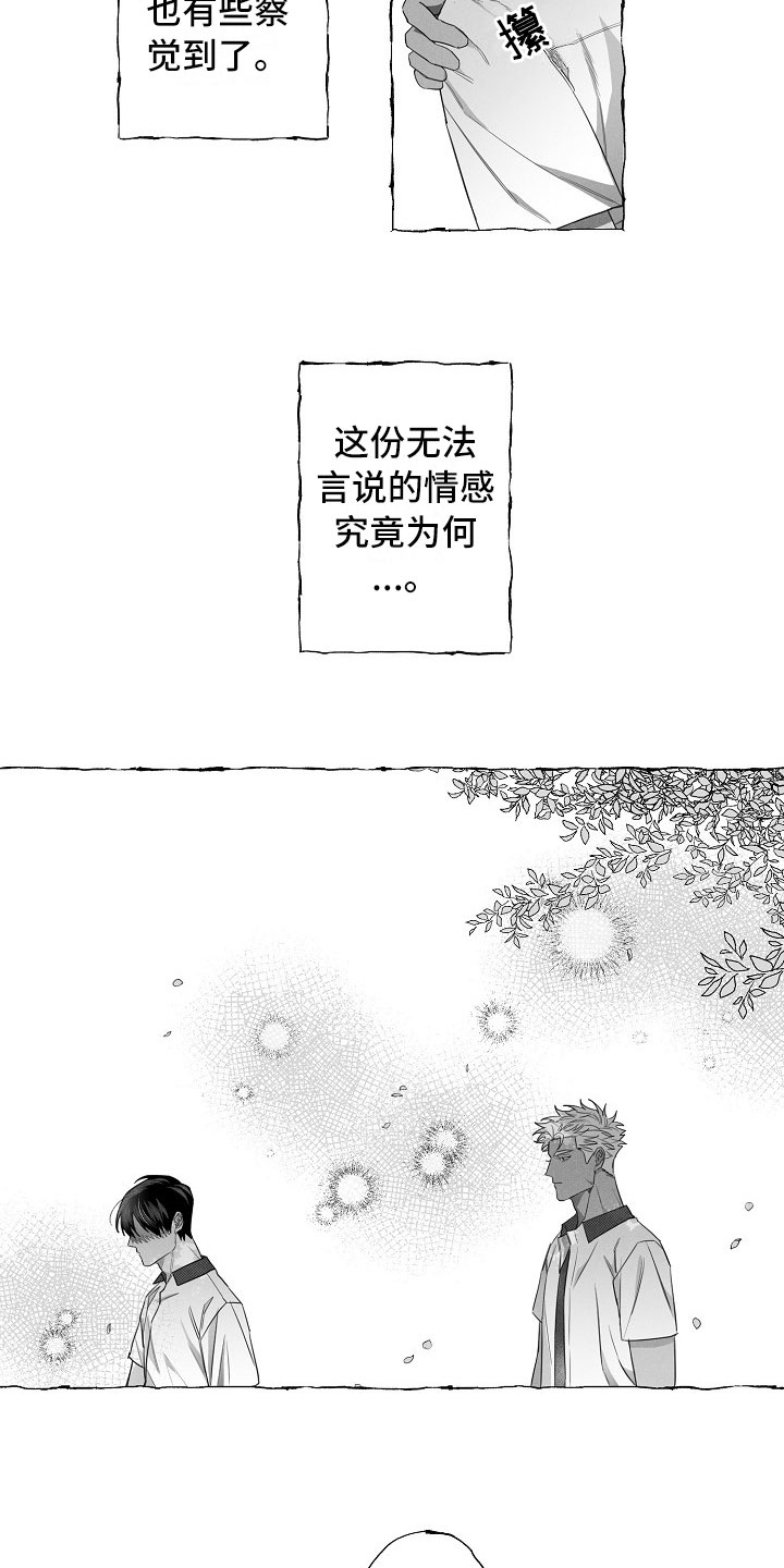 第11章：命运的安排5