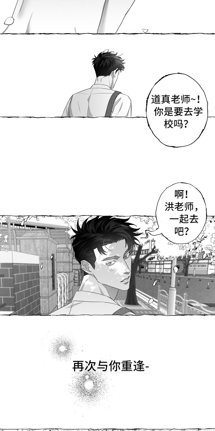 第11章：命运的安排13