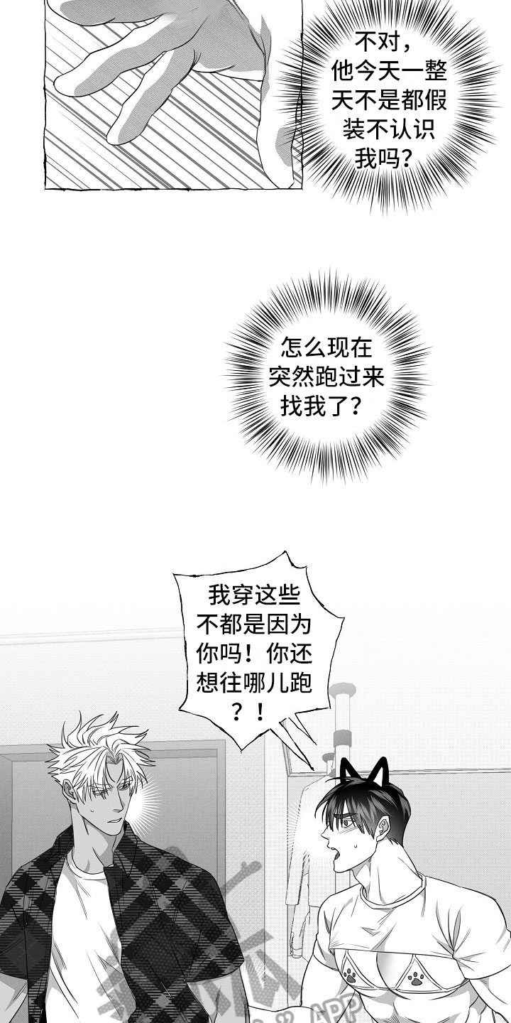 第27章：决心12