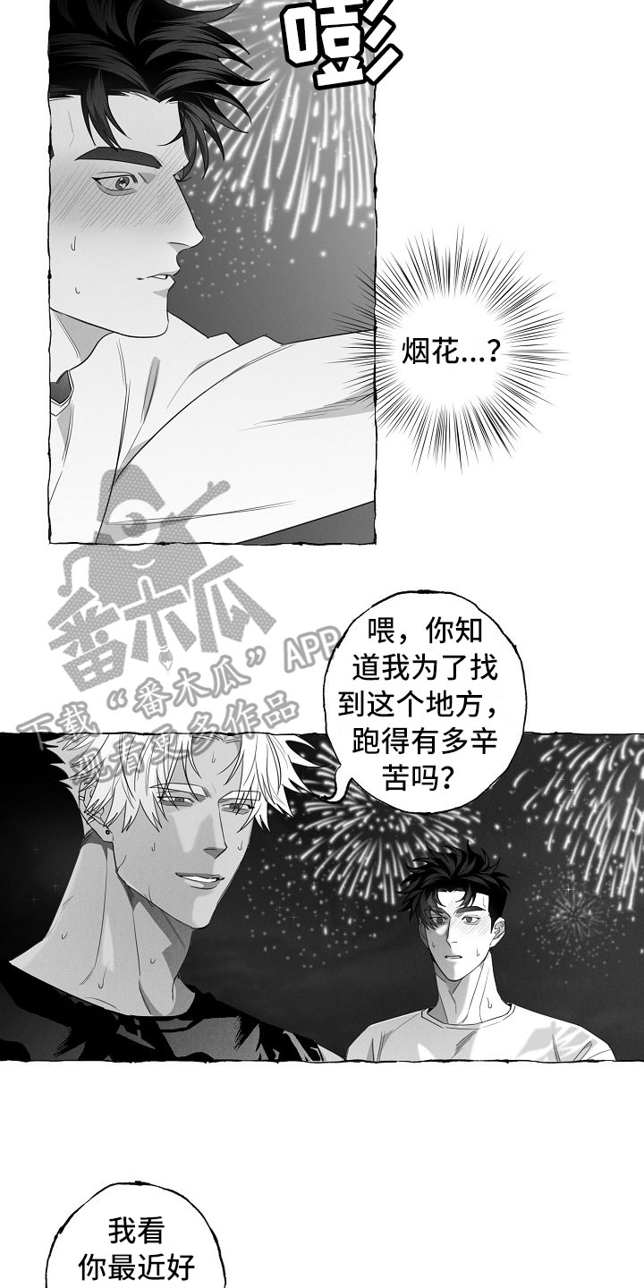 第13章：看烟花11