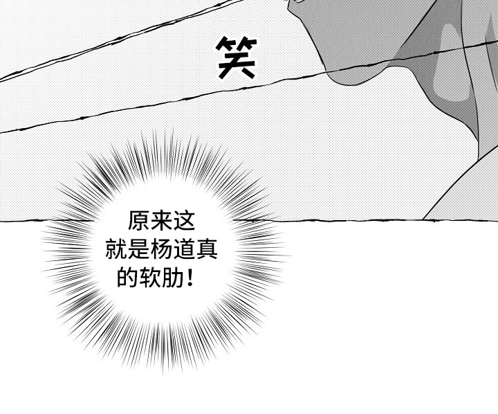 第21章：软肋18