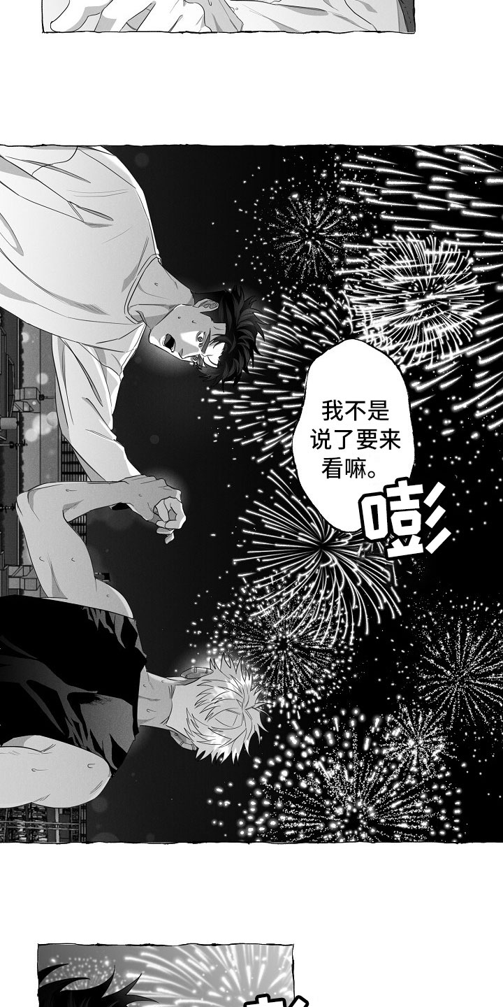 第13章：看烟花10