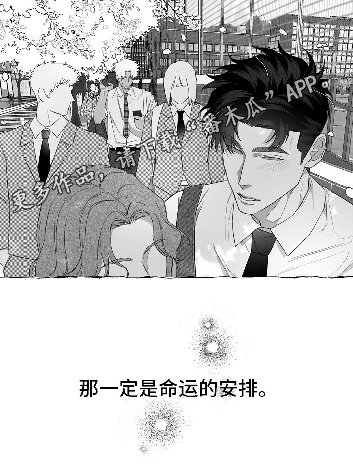第11章：命运的安排14