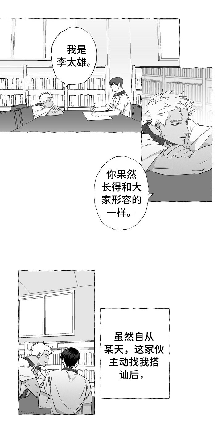 第2章：再次出现3