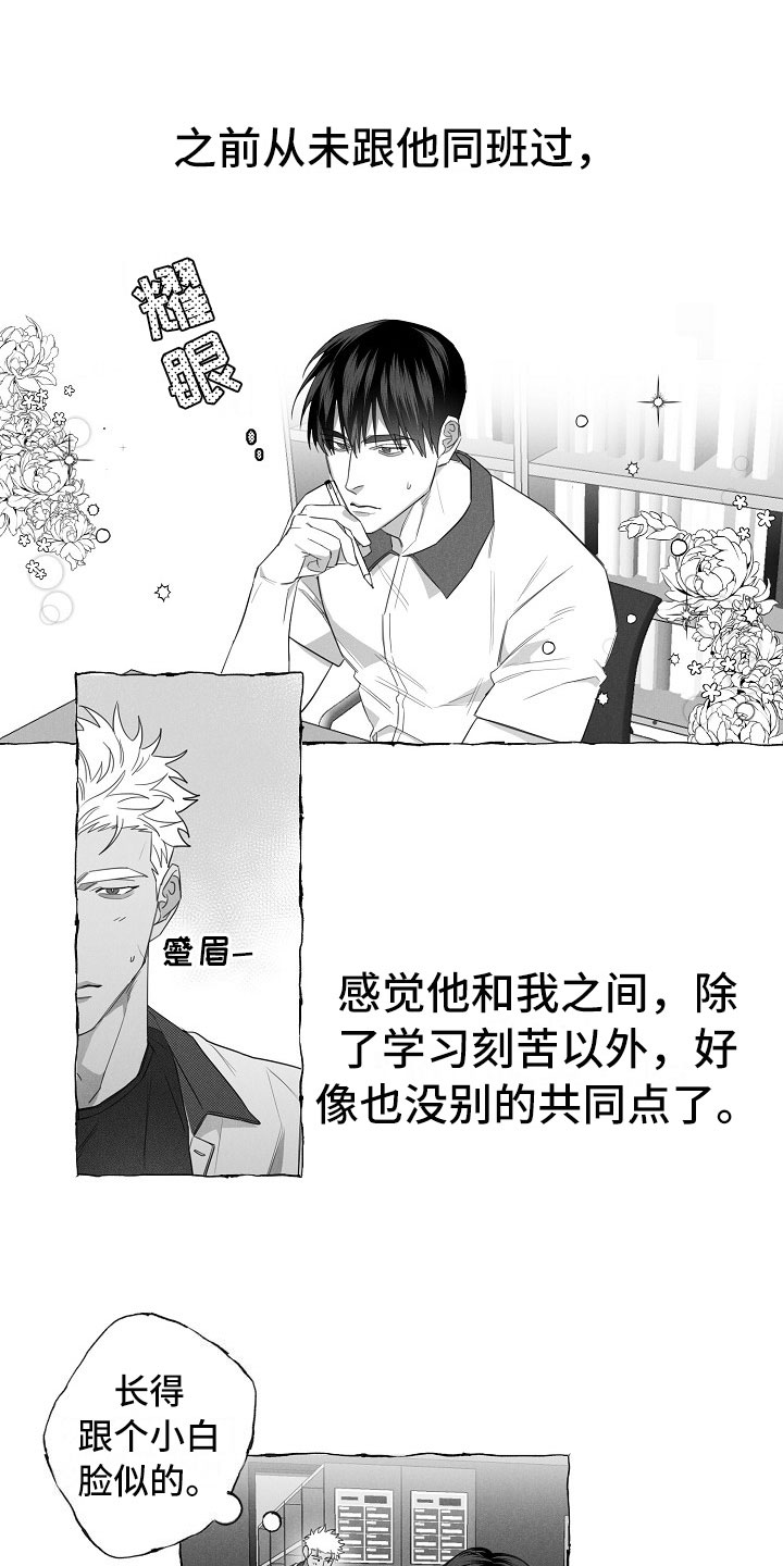 第9章：共同点9