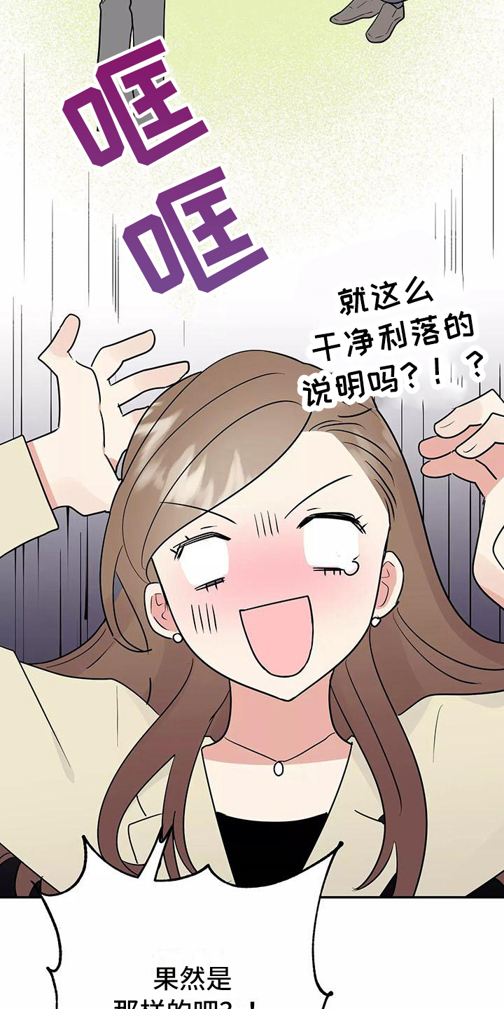 第25章：解释26