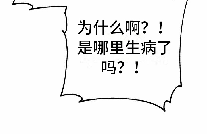 第25章：解释13