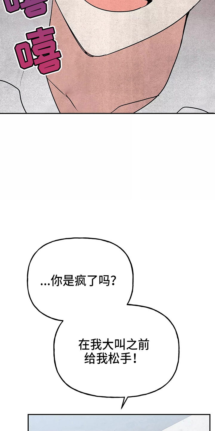 第29章：疯子13