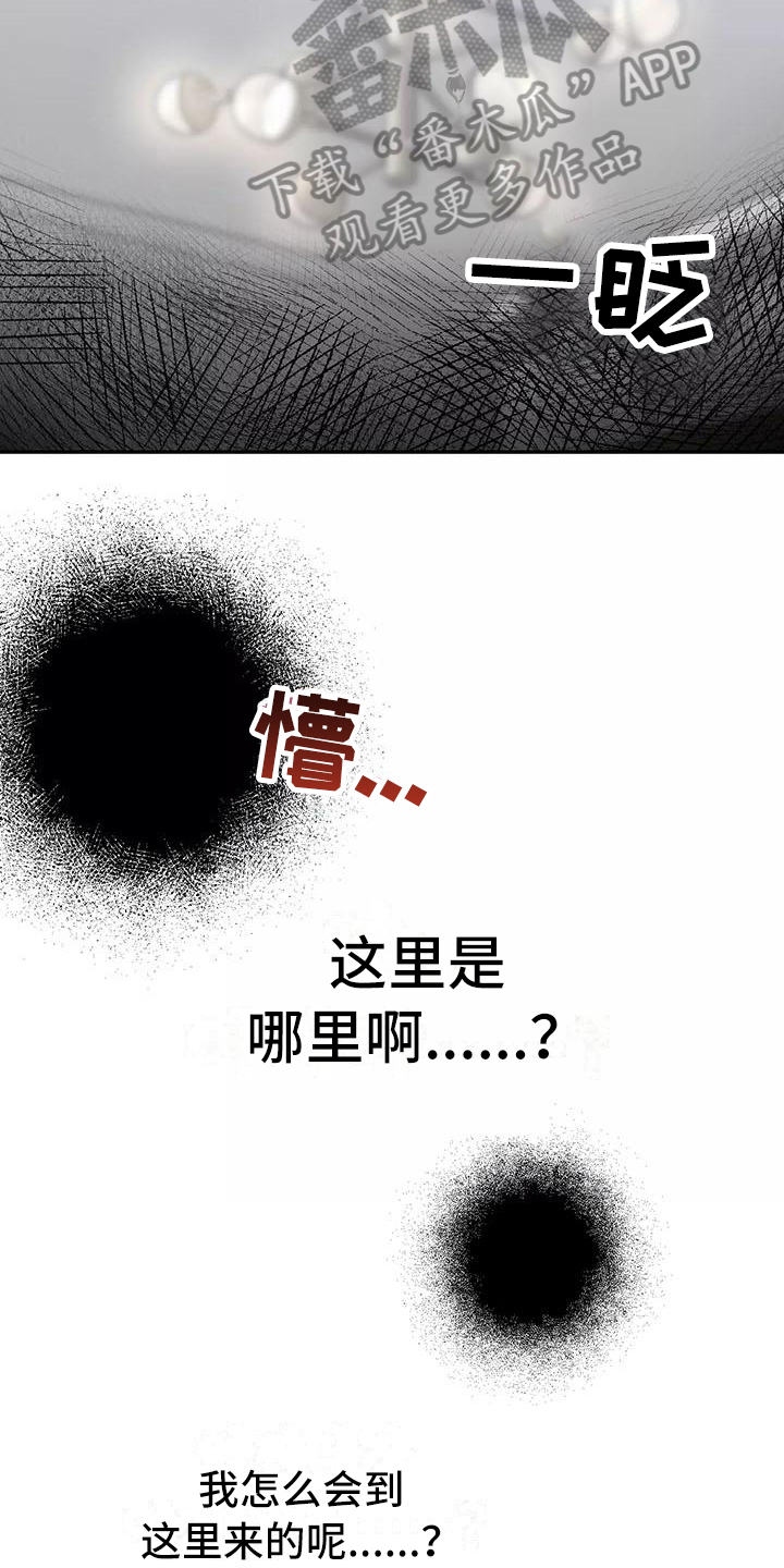 第14章：记起来了1