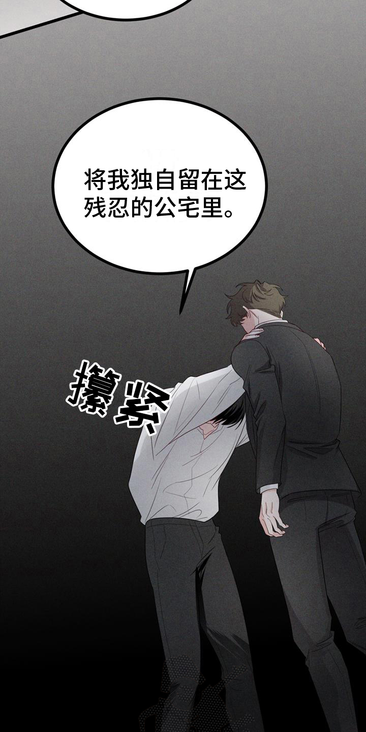 第15章：不后悔【完结】6