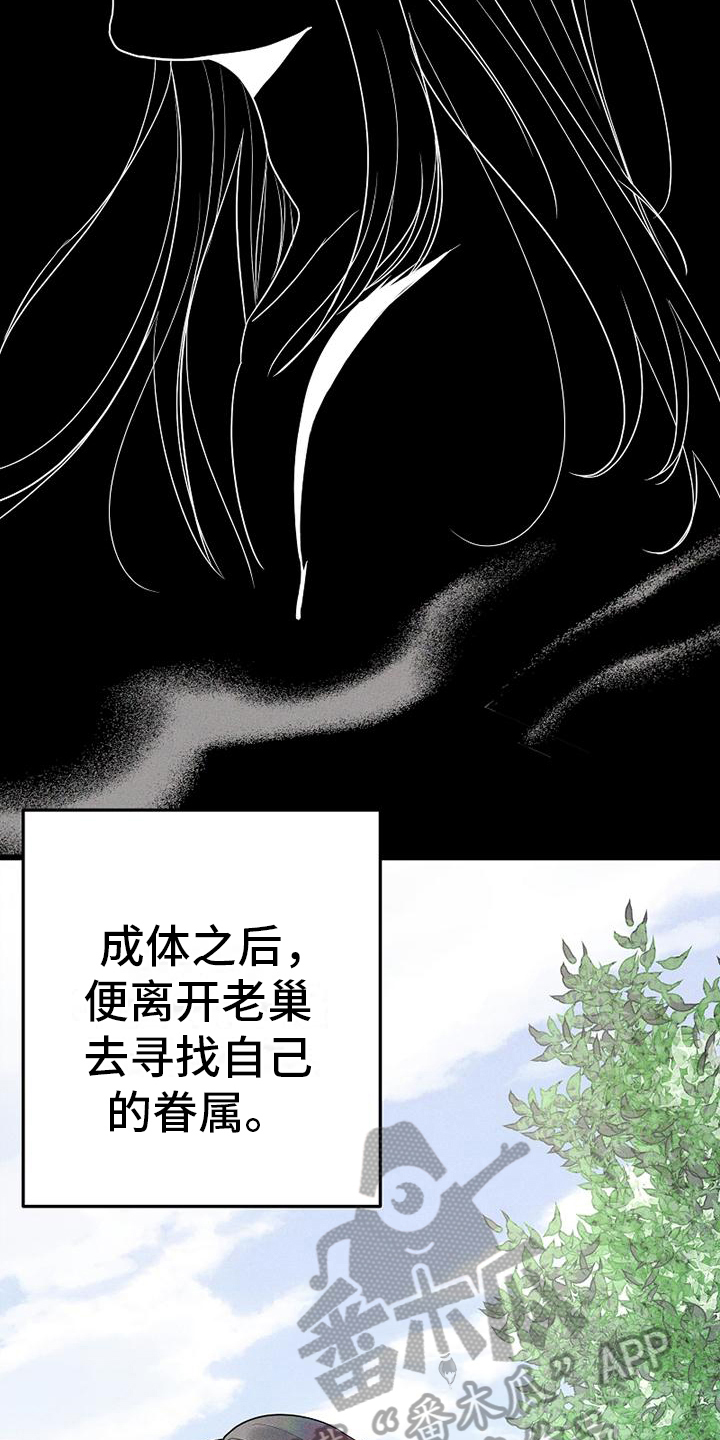 第4章：吸血鬼8