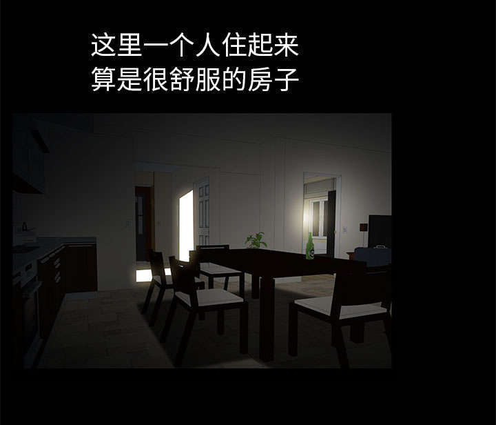 第12章：可怕的意外29