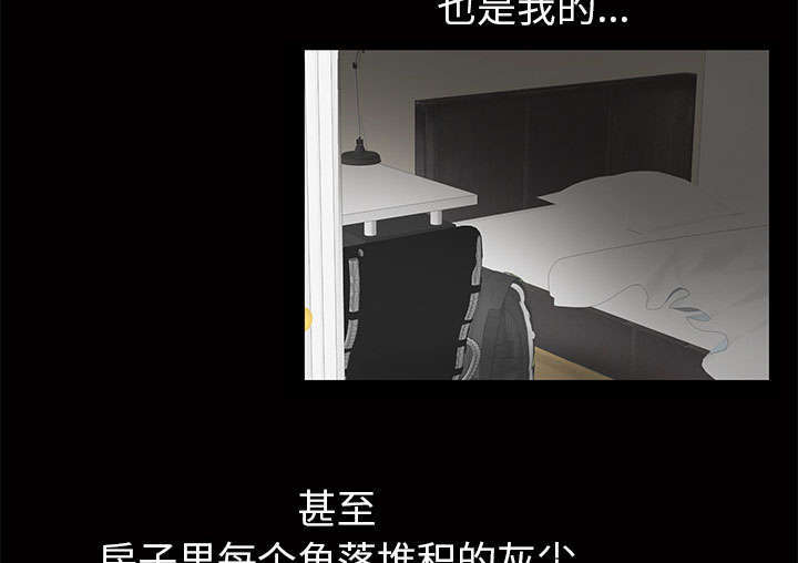 第3章：家中来客46