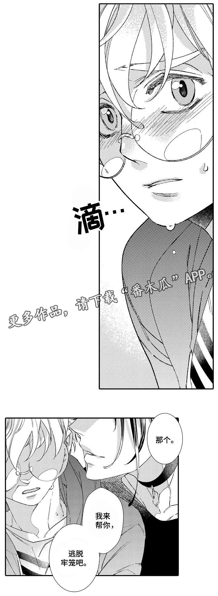 第3章：见面11