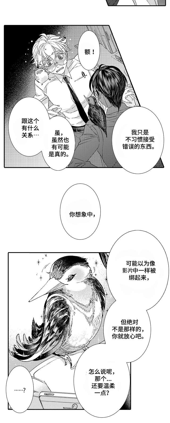 第2章：星鸟12