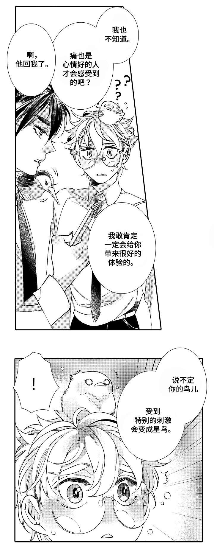 第2章：星鸟13